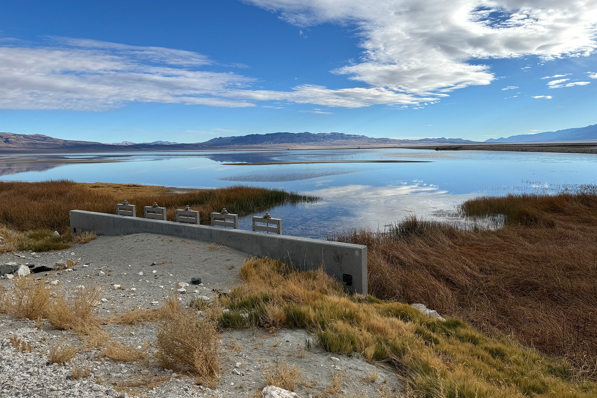 LADWP’s massive dust mitigation project has revitalized migratory bird habitat on Patsiata (Owens Lake).